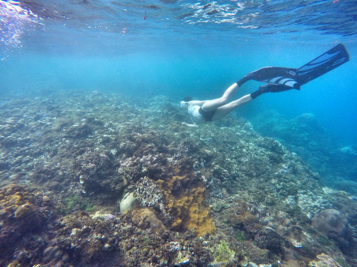 Imanuel Surfing B&B Heng-ch'un Exterior foto